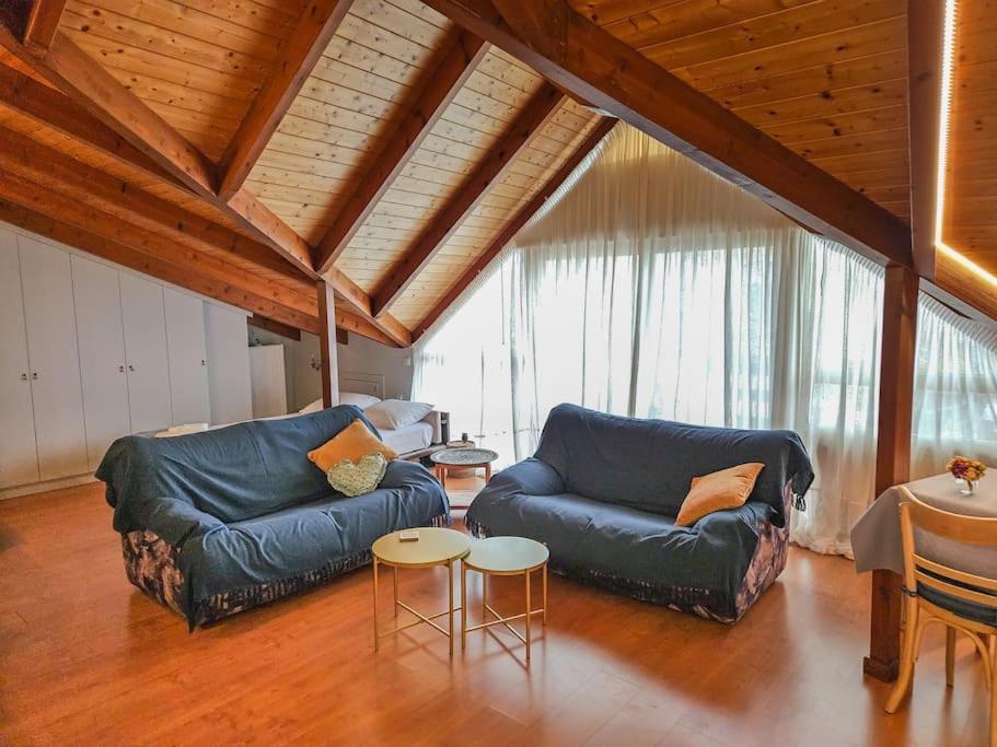 Sunny & Comfy In The Heart Of Apartment *